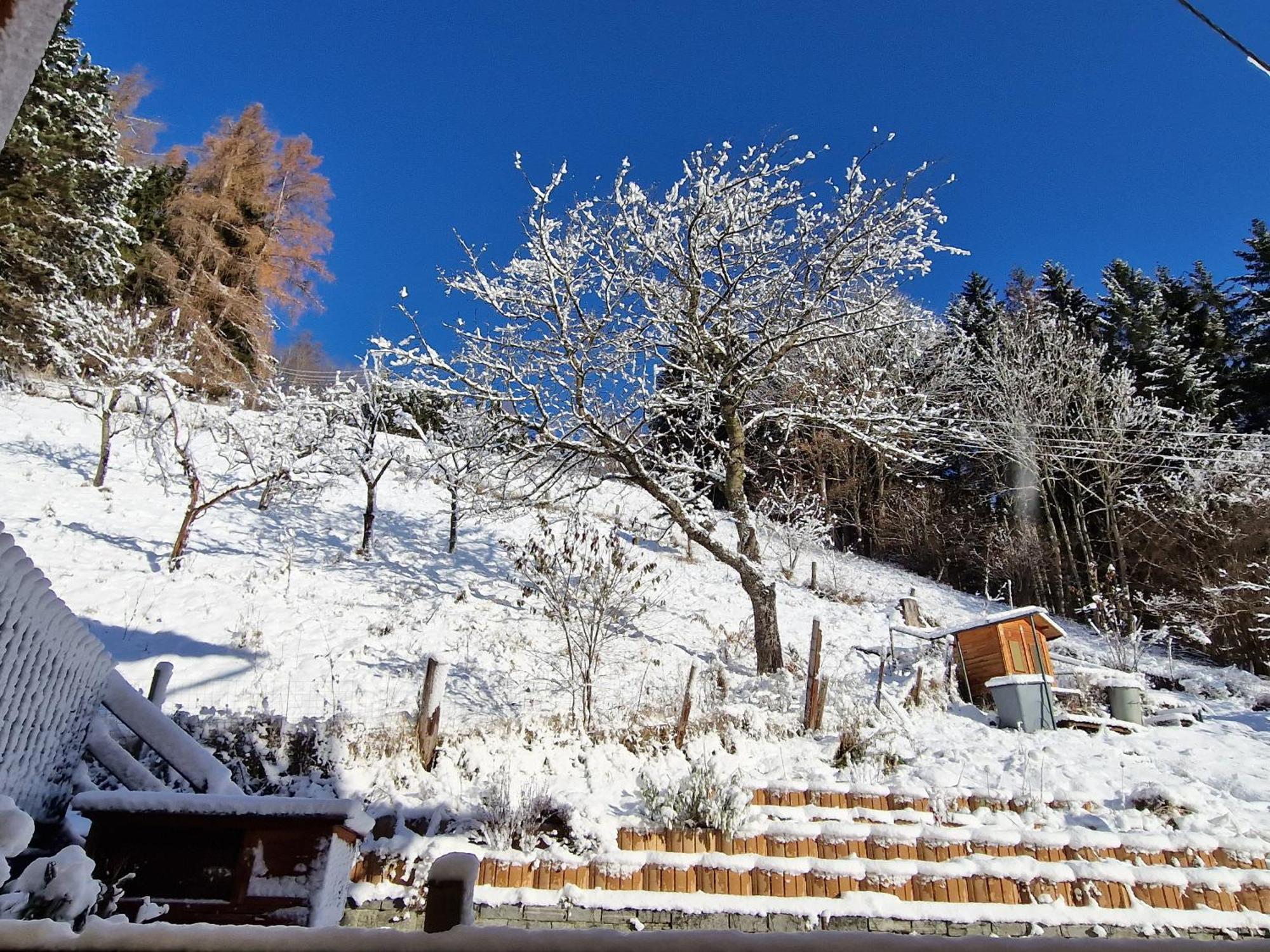 Pension Sonnenheim Rooms&Apartments Gmünd Εξωτερικό φωτογραφία